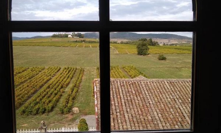 Nettoyage de vitres d'un château - Villefranche-sur-Saône - René FOURRICHON